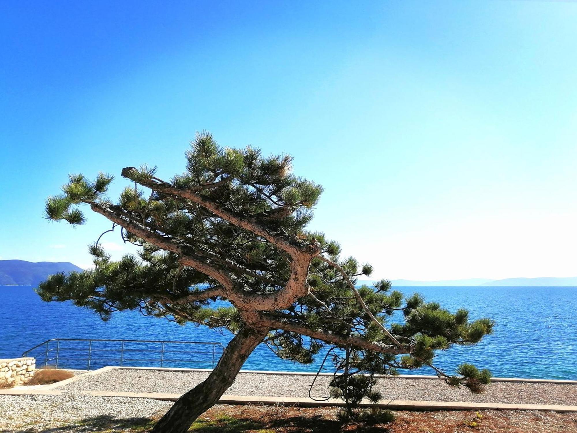 Apartment Lucille In Center Of 拉巴克 外观 照片